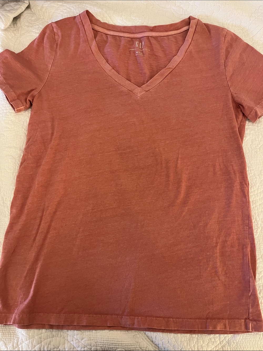 GAP Women’s Short-Sleeve V-Neck Tee in Terracotta M Tall